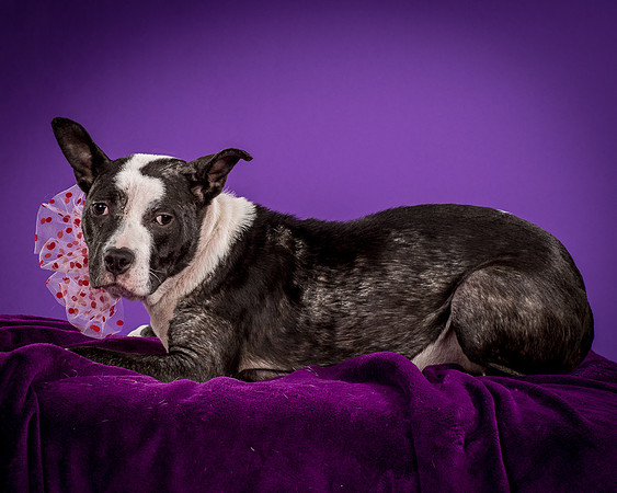 Foster Claire-4205