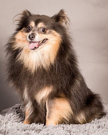 Foster Clint-4254