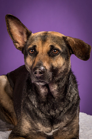 Izzy-2236