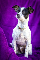 Foster Haylie-4085