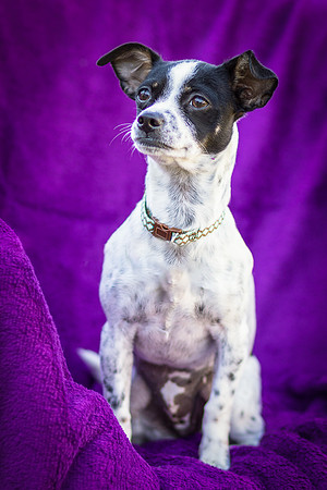 Foster Haylie-4085