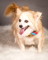 Foster Lilly-3384