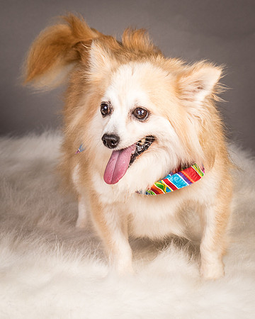 Foster Lilly-3384