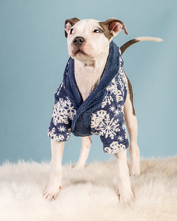 Foster Luna-4773