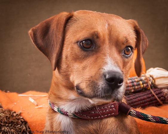 Foster Thelma-6949