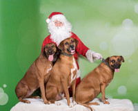 Santa Claus-3299