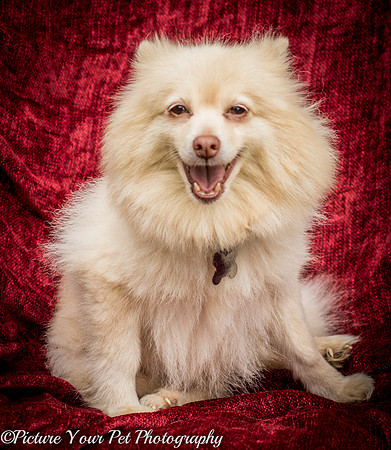 Foster Laverne-6210