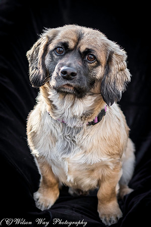 Foster Trudy-13