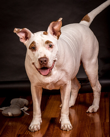 Foster Joanie-0613