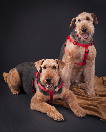 Martha May & Smitty-5194
