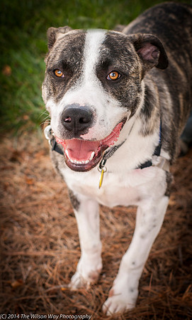 Foster Louie-9704