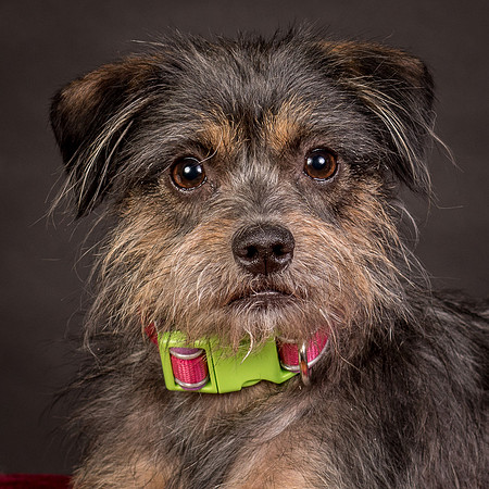 Foster Nadine-9609