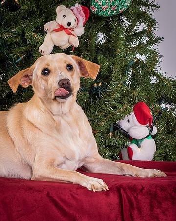 Foster June-3614