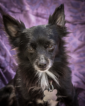 Foster Julio-6284
