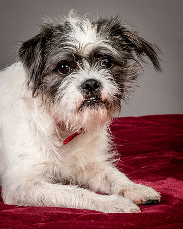 Foster Leeza-2717