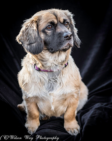 Foster Trudy-34