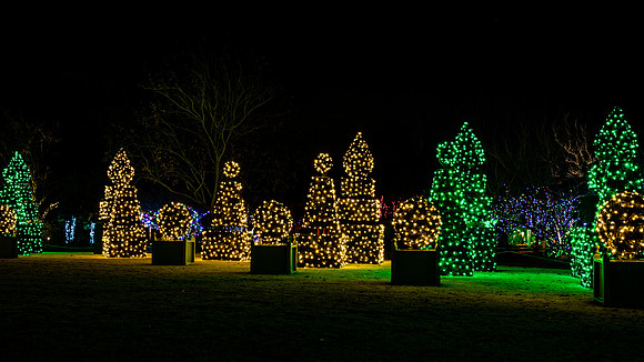 Christmas-2539