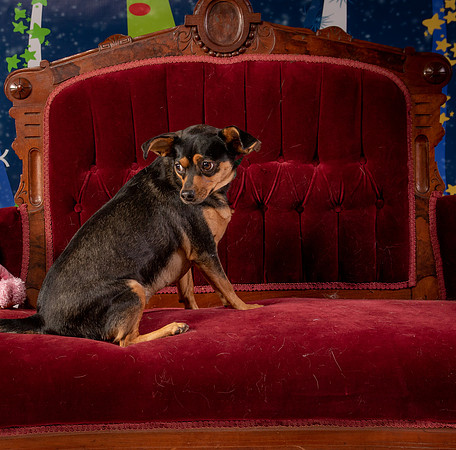 Foster Jolie-6481