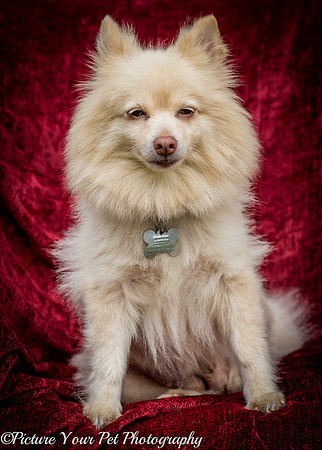 Foster Laverne-6253