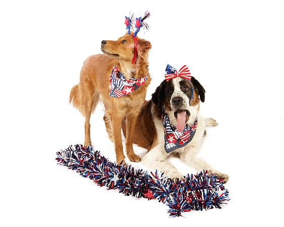 Ollie and Heidi-8323