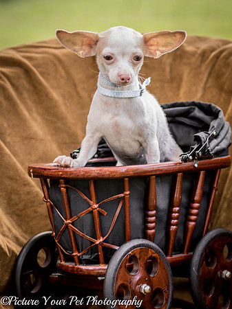 Foster Marion-3799