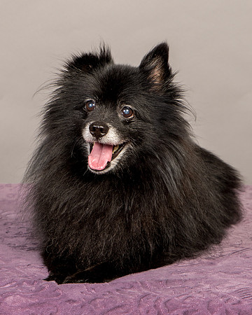 Foster Wayne-8275