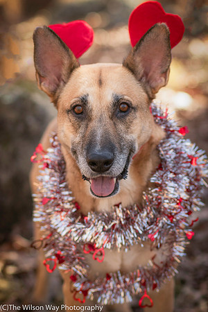 Foster Rita-2576