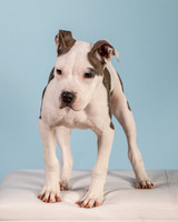 Foster Luna-4686
