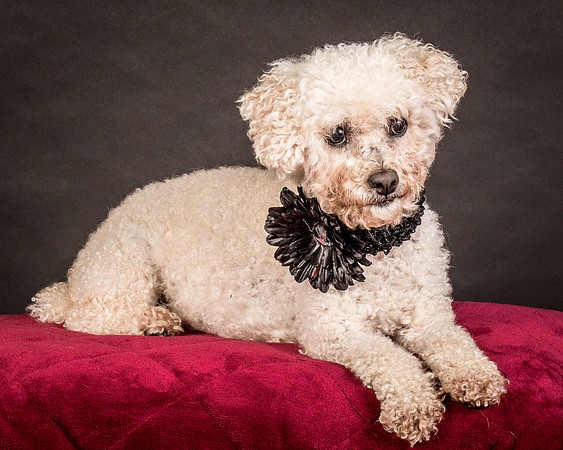 Foster Mae-9089