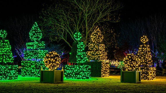 Christmas-2936