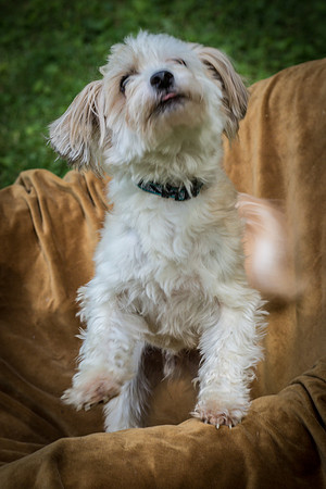 Foster Ricardo-8693