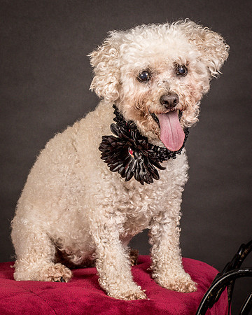 Foster Mae-9134
