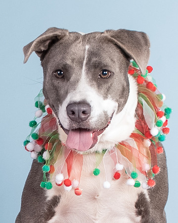 Foster Juliana-8079