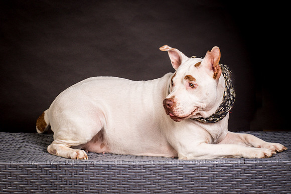 Foster Joanie-0443