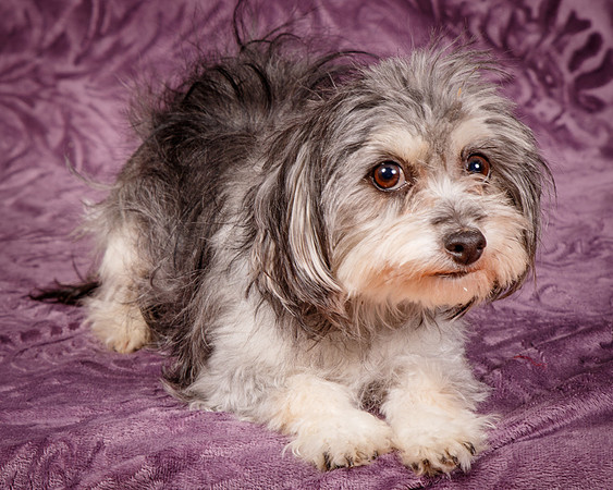 Foster Alex-6261