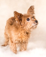 Foster Nessa-5643