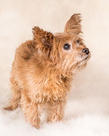 Foster Nessa-5643