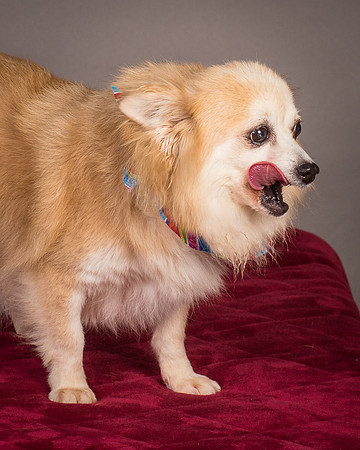 Foster Lilly-3332