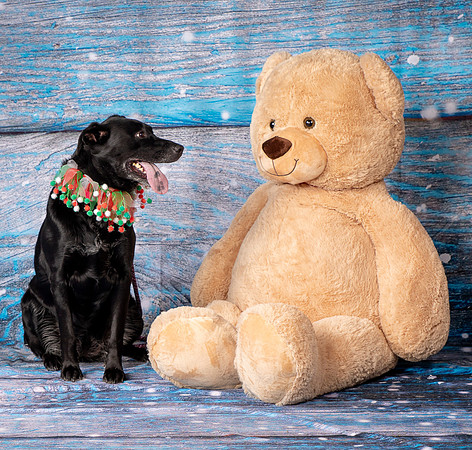Foster Beatrice-4034