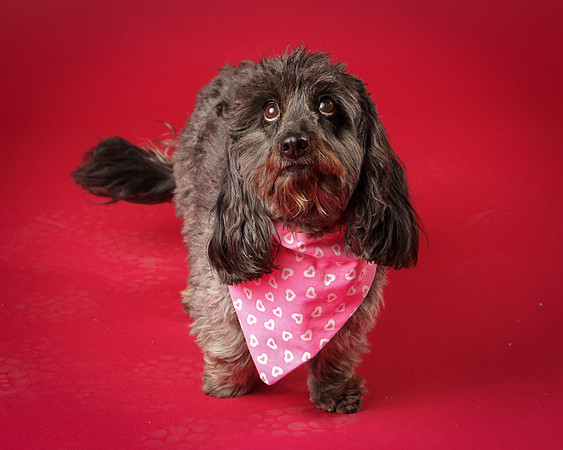 Frankie-8103