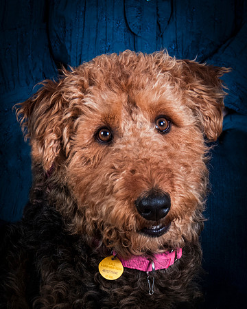 Dixie Lou-5614