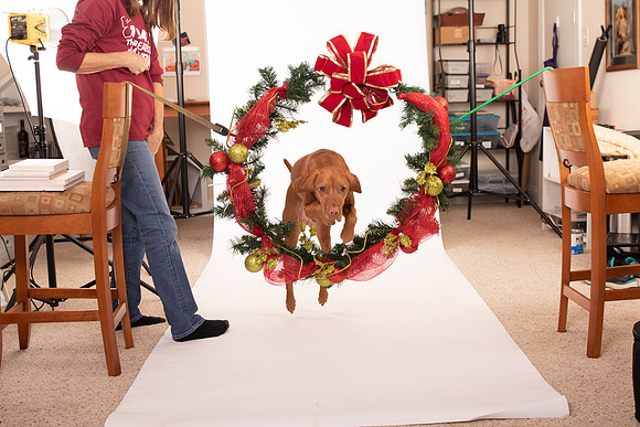 Nellie Belly-0043