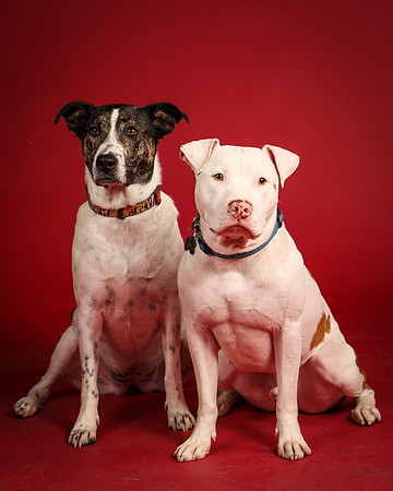 Grace and Mello-5450