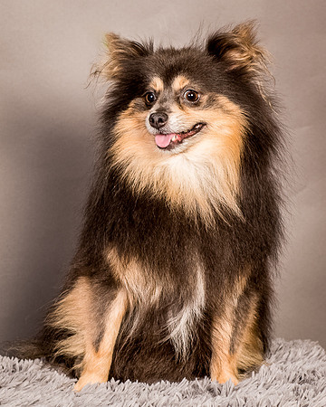 Foster Clint-4251