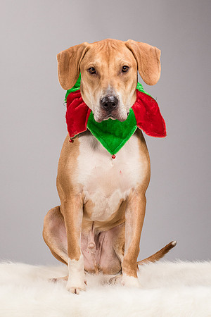 Foster Troy-6285