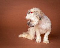 Foster Frida-9730