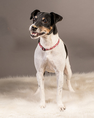 Foster Pollyanna-3954