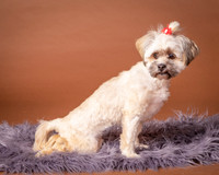Foster Frida-2-6