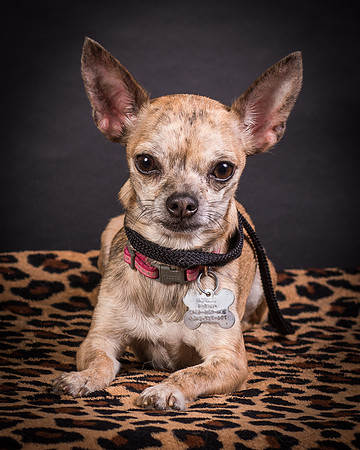 Foster Selina-1204