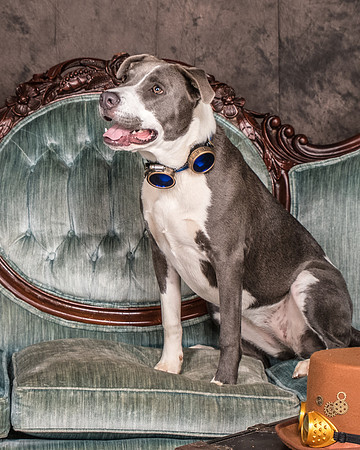 Foster Juliana-8044